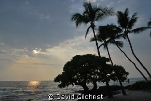 Banyon Beach, Kona Hawaii by David Gilchrist 